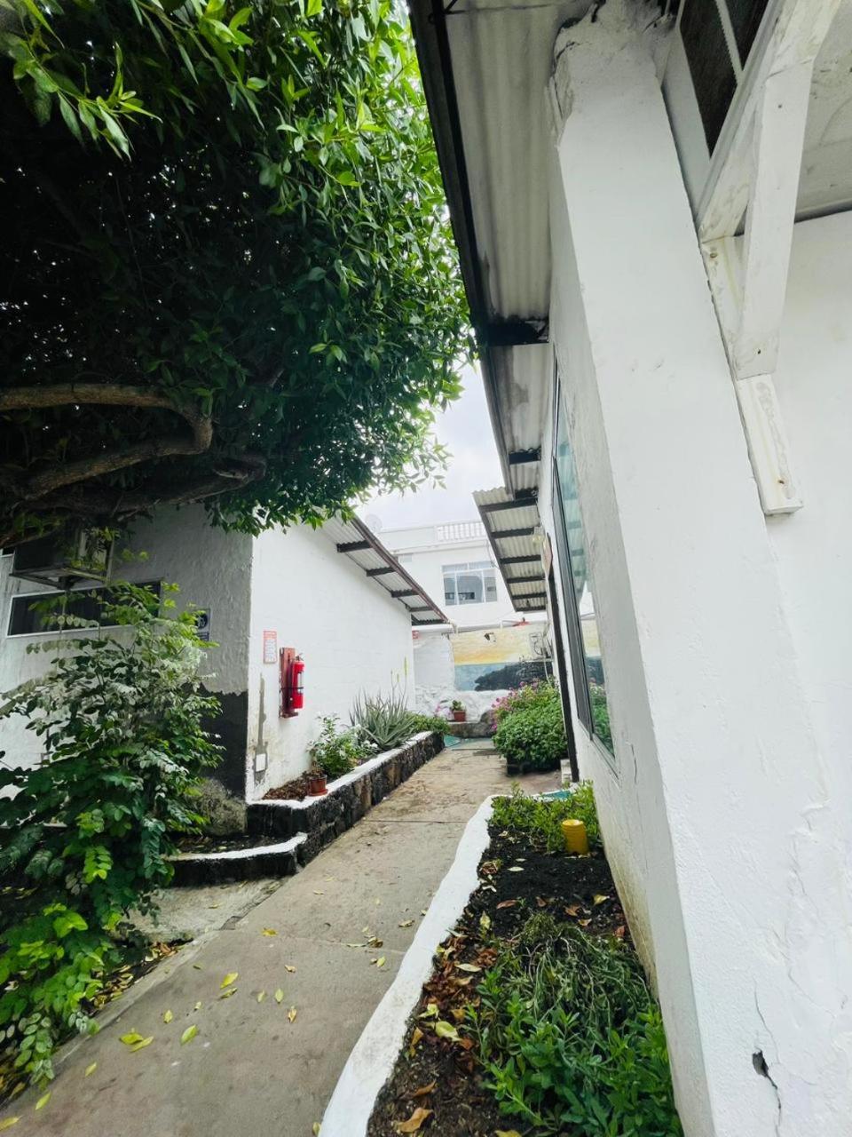 Hostal Darwin Puerto Ayora  Exteriör bild